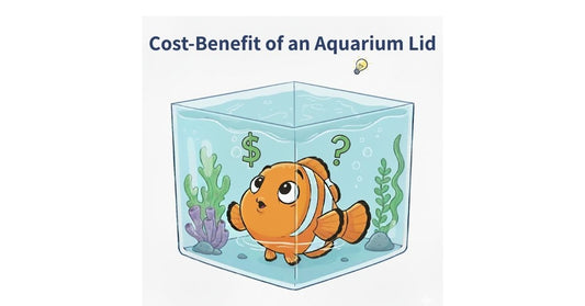 Salty Lids Cost Benefit of an Aquarium Lid