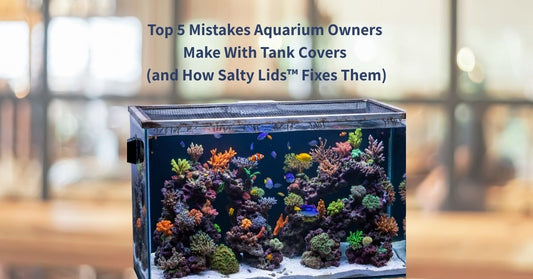 Top 5 Mistakes Aquarium Owners Make With Tank Covers