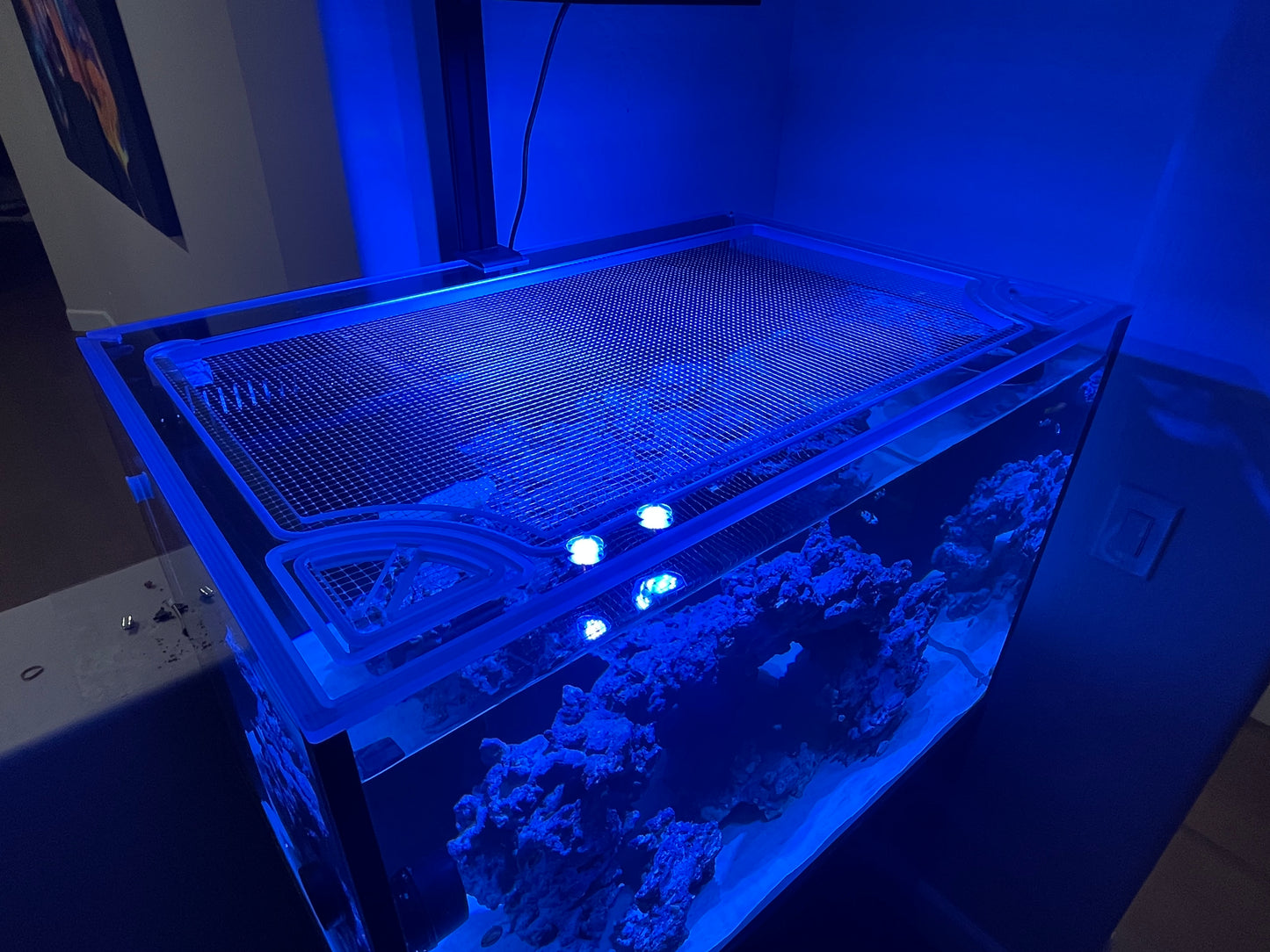 Aqua Japan 90 Aquarium Lid - Salty Lids