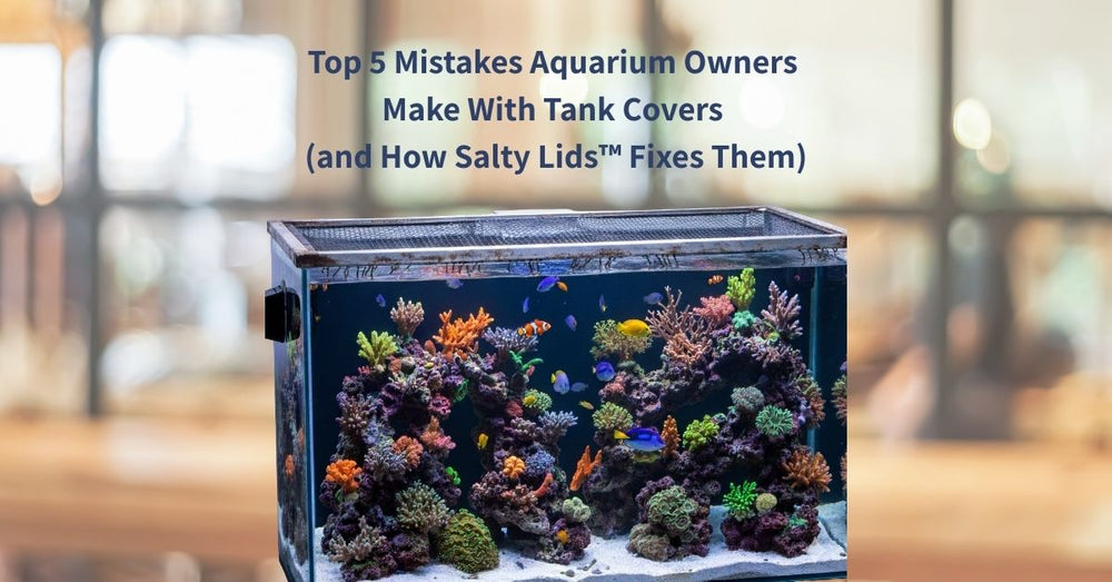 Reef Tips – Salty Lids