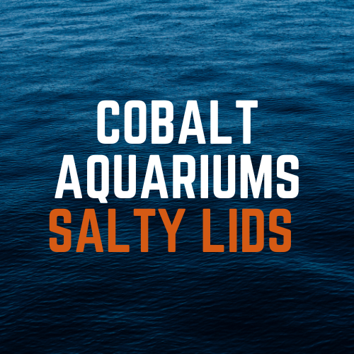 Aquarium Lids for Cobalt Aquatics Aquariums