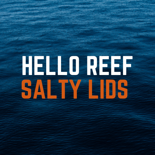 Aquarium Lids for Hello Reef Aquariums