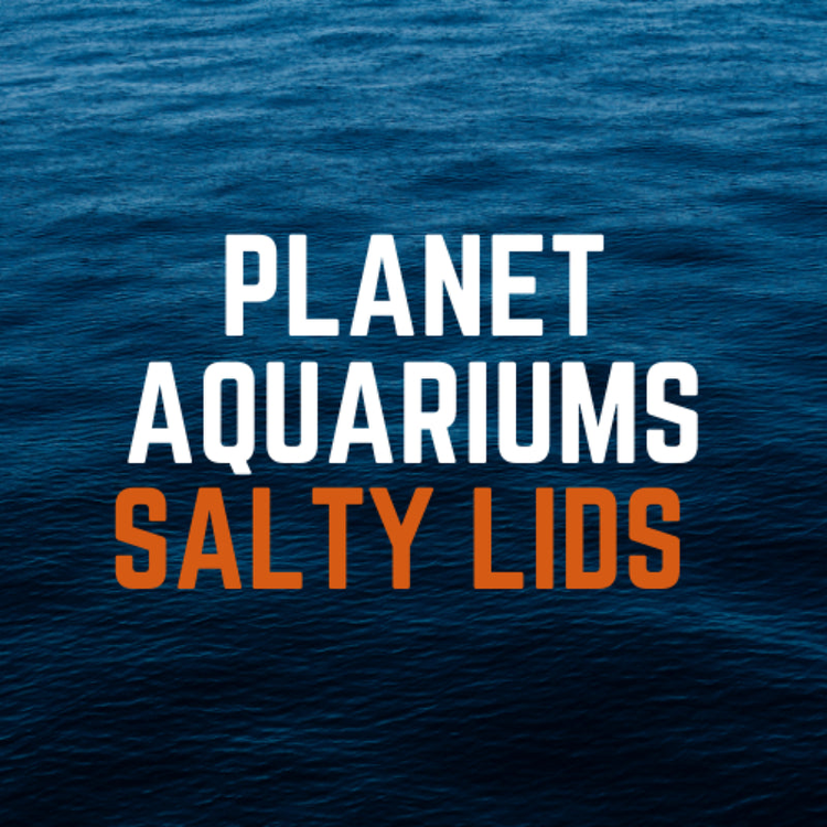 Salty Lids custom polycarbonate aquarium lids designed for Planet Aquariums tanks — precision CNC-cut, lightweight, and built with screened ventilation and access caps for superior fit and function.
