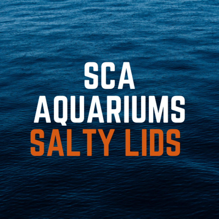 Salty Lids custom polycarbonate aquarium lids designed for SCA Aquariums tanks — precision CNC-cut, lightweight, and built with screened ventilation and access caps for superior fit and function.