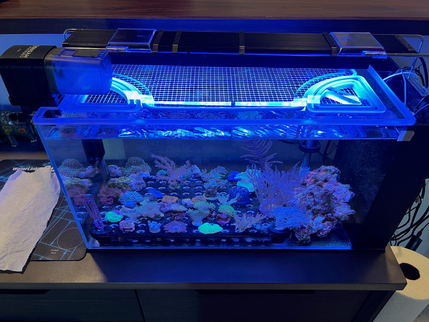 Innovative Marine 30L NUVO Fusion PRO AIO Aquarium Lid - Salty Lids